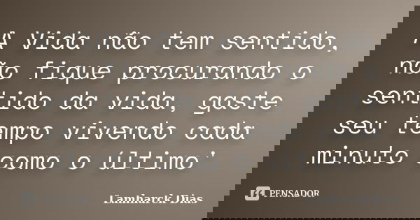 A Vida não tem sentido, não fique procurando o sentido da vida, gaste seu tempo vivendo cada minuto como o último'... Frase de Lamharck Dias.