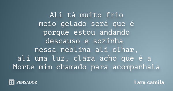 Ali tá muito frio meio gelado será que é porque estou andando descauso e sozinha nessa neblina ali olhar, ali uma luz, clara acho que é a Morte mim chamado para... Frase de Lara camila.