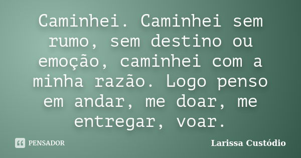 Caminhei. Caminhei sem rumo, sem destino ou emoção, caminhei com a minha razão. Logo penso em andar, me doar, me entregar, voar.... Frase de Larissa Custódio.