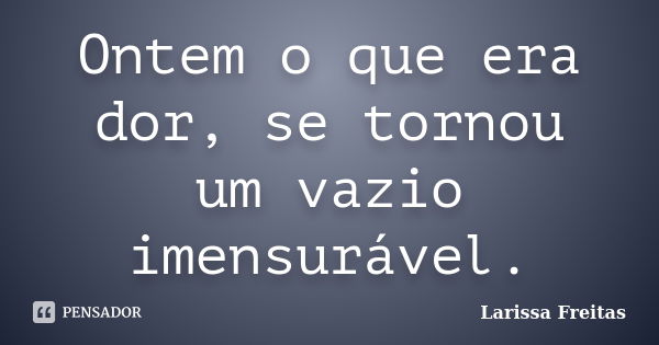 Ontem o que era dor, se tornou um vazio imensurável.... Frase de Larissa Freitas.