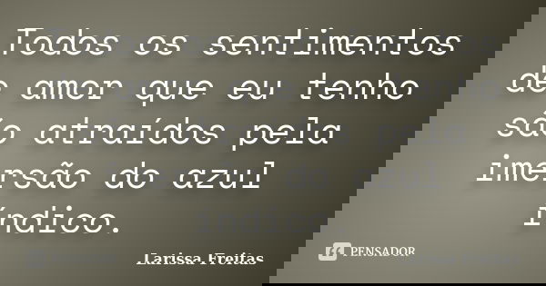 Todos os sentimentos de amor que eu tenho são atraídos pela imersão do azul índico.... Frase de Larissa Freitas.