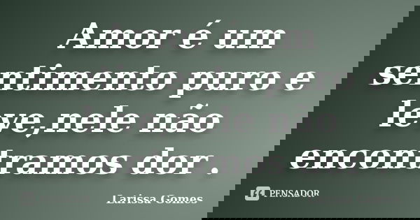 Amor é um sentimento puro e leve,nele não encontramos dor .... Frase de Larissa Gomes.