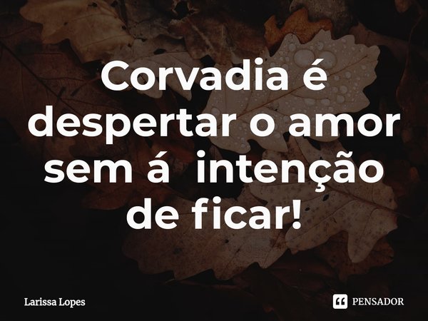 ⁠Corvadia é despertar o amor sem á intenção de ficar!... Frase de Larissa Lopes.