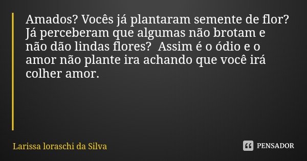 Amados? Vocês já plantaram semente de flor?
Já perceberam que algumas não brotam e não dão lindas flores? Assim é o ódio e o amor não plante ira achando que voc... Frase de Larissa loraschi da Silva.