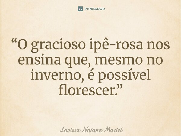 ⁠“O gracioso ipê-rosa nos ensina que, mesmo no inverno, é possível florescer.”... Frase de Larissa Najara Maciel.