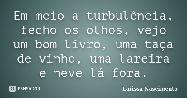 Em meio a turbulência, fecho os olhos, vejo um bom livro, uma taça de vinho, uma lareira e neve lá fora.... Frase de Larissa Nascimento.