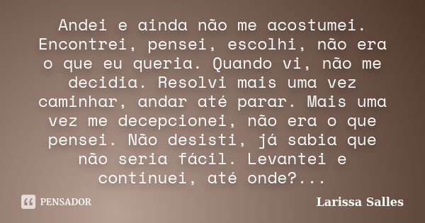 Andei e ainda não me acostumei. Encontrei, pensei, escolhi, não era o que eu queria. Quando vi, não me decidia. Resolvi mais uma vez caminhar, andar até parar. ... Frase de Larissa Salles.