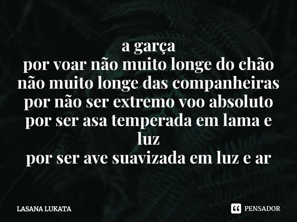 ⁠a garça
por voar não muito longe do chão
não muito longe das companheiras
por não ser extremo voo absoluto
por ser asa temperada em lama e luz
por ser ave suav... Frase de LASANA LUKATA.