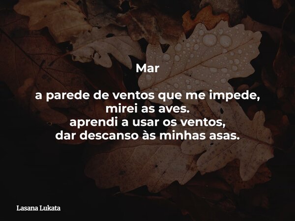 Mar a parede de ventos que me impede, mirei as aves. aprendi a usar os ventos, dar descanso às minhas asas.... Frase de Lasana Lukata.