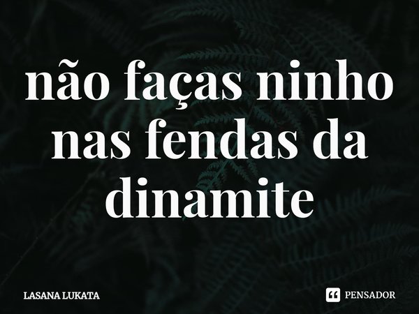 ⁠não faças ninho nas fendas da dinamite... Frase de LASANA LUKATA.