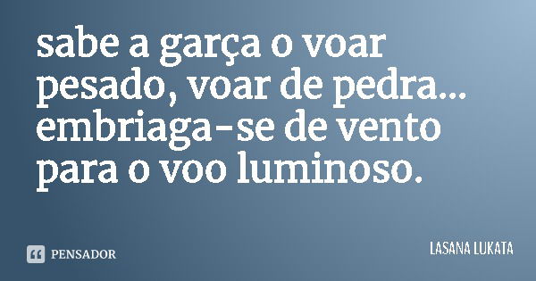 sabe a garça o voar pesado, voar de pedra...
embriaga-se de vento
para o voo luminoso.... Frase de LASANA LUKATA.