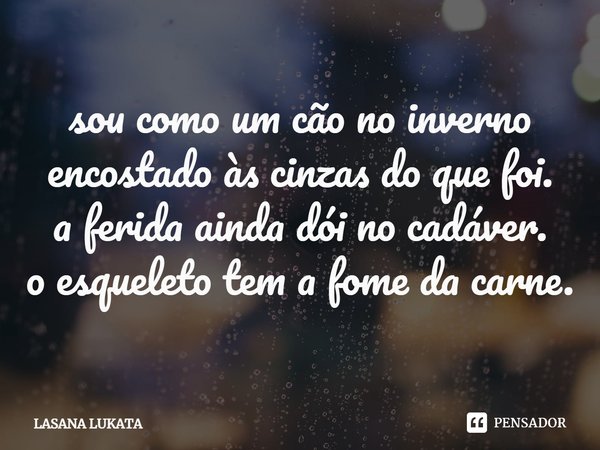 ⁠sou como um cão no inverno
encostado às cinzas do que foi.
a ferida ainda dói no cadáver.
o esqueleto tem a fome da carne.... Frase de LASANA LUKATA.