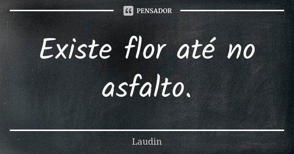 Existe flor até no asfalto.... Frase de Laudin.