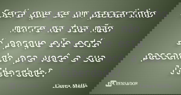 Será que se um passarinho morre na tua mão é porque ele está passando pra você a sua liberdade?... Frase de Laura Méllo.