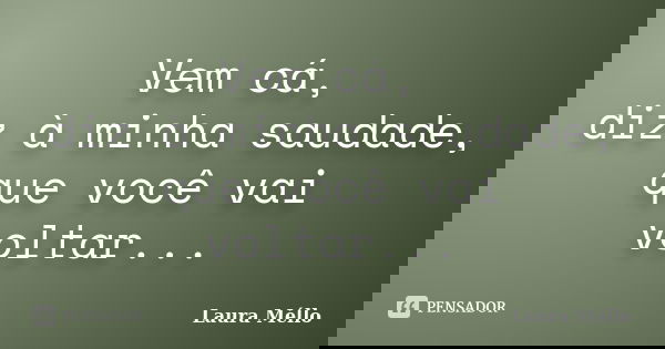 Vem cá, diz à minha saudade, que você vai voltar...... Frase de Laura Méllo.