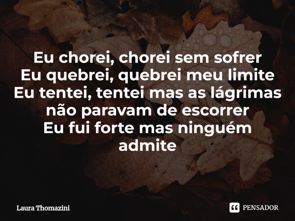 ⁠Eu chorei, chorei sem sofrer Eu quebrei, quebrei meu limite Eu tentei, tentei mas as lágrimas não paravam de escorrer Eu fui forte mas ninguém admite... Frase de Laura Thomazini.