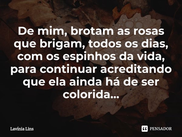 ⁠De mim, brotam as rosas
que brigam, todos os dias, com os espinhos da vida,
para continuar acreditando
que ela ainda há de ser colorida...... Frase de Lavínia Lins.