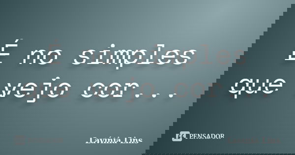É no simples que vejo cor...... Frase de Lavínia Lins.
