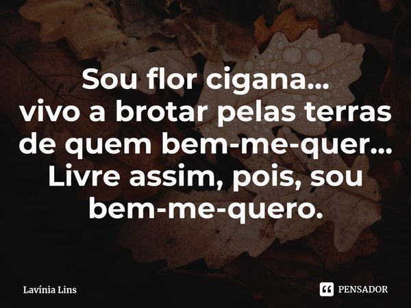 ⁠Sou flor cigana...
vivo a brotar pelas terras de quem bem-me-quer...
Livre assim, pois, sou bem-me-quero.... Frase de Lavínia Lins.