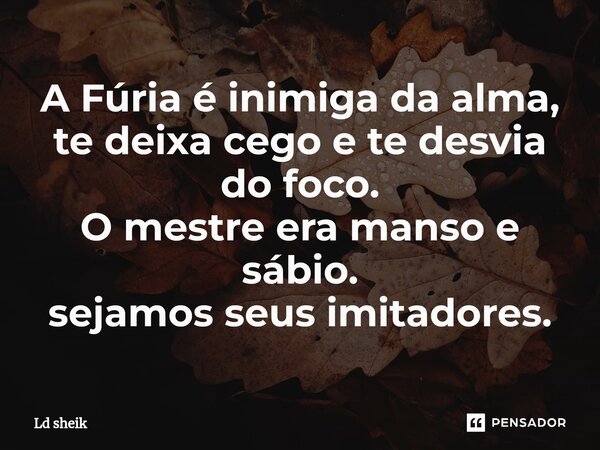 ⁠A Fúria é inimiga da alma, te deixa cego e te desvia do foco. O mestre era manso e sábio. sejamos seus imitadores.... Frase de Ld sheik.