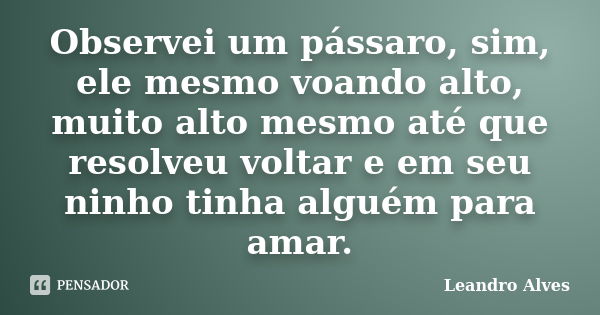 Observei um pássaro, sim, ele mesmo voando alto, muito alto mesmo até que resolveu voltar e em seu ninho tinha alguém para amar.... Frase de Leandro Alves.