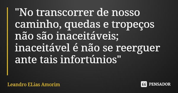 "No transcorrer de nosso caminho, quedas e tropeços não são inaceitáveis; inaceitável é não se reerguer ante tais infortúnios"... Frase de Leandro ELias Amorim.
