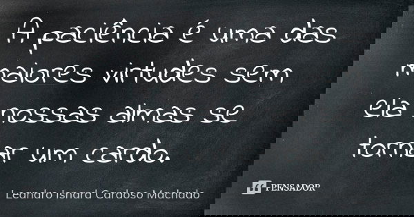 A paciência é uma das maiores virtudes sem ela nossas almas se tornar um cardo.... Frase de Leandro Isnard Cardoso Machado.