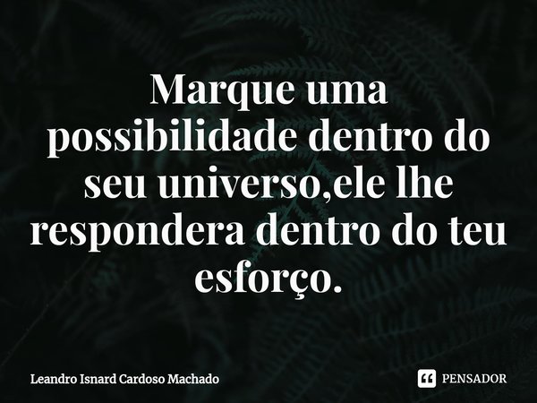 ⁠Marque uma possibilidade dentro do seu universo,ele lhe respondera dentro do teu esforço.... Frase de Leandro Isnard Cardoso Machado.