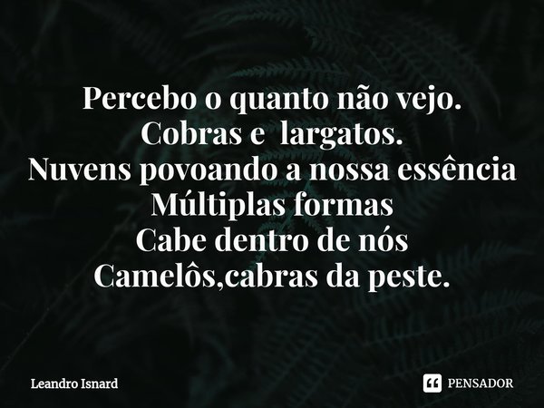 Percebo o quanto não vejo.
Cobras e largatos.
Nuvens povoando a nossa essência
Múltiplas formas
Cabe dentro de nós
Camelôs,cabras da peste.... Frase de Leandro Isnard.