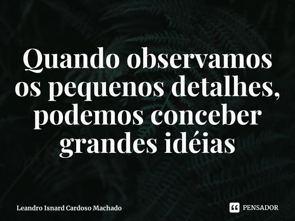 ⁠Quando observamos os pequenos detalhes, podemos conceber grandes idéias... Frase de Leandro Isnard Cardoso Machado.