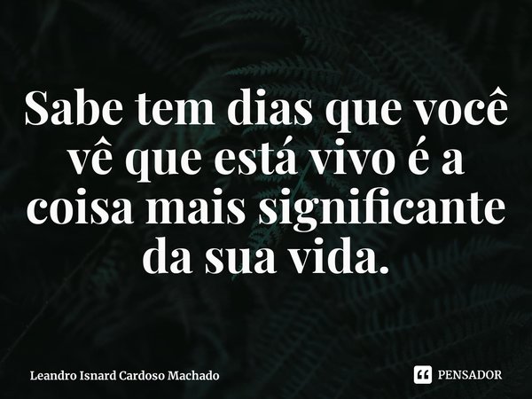 ⁠Sabe tem dias que você vê que está vivo é a coisa mais significante da sua vida.... Frase de Leandro Isnard Cardoso Machado.