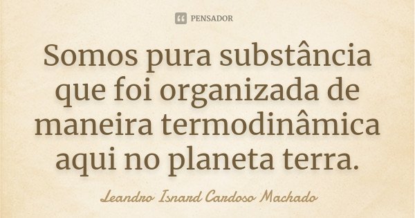 Somos pura substância que foi organizada de maneira termodinâmica aqui no planeta terra.... Frase de Leandro Isnard Cardoso Machado.
