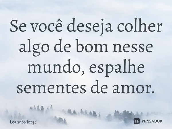 ⁠Se você deseja colher algo de bom nesse mundo, espalhe sementes de amor.⁠... Frase de Leandro Jorge.