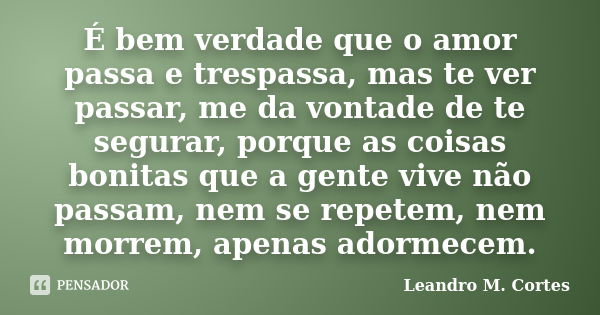 É bem verdade que o amor passa e trespassa, mas te ver passar, me da vontade de te segurar, porque as coisas bonitas que a gente vive não passam, nem se repetem... Frase de Leandro M. Cortes.