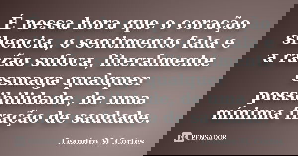 É nessa hora que o coração silencia, o sentimento fala e a razão sufoca, literalmente esmaga qualquer possibilidade, de uma mínima fração de saudade.... Frase de Leandro M. Cortes.