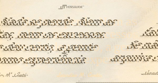Nada se perde. Nem as faltas, nem os excessos. Se não deu certo, a gente arquiva como experiência.... Frase de Leandro M. Cortes.