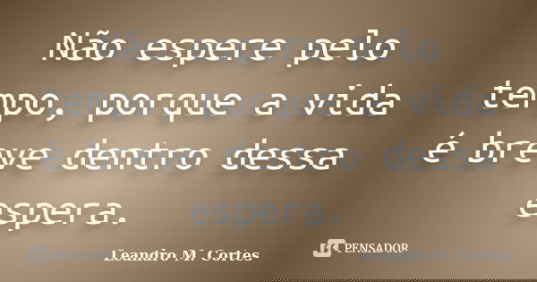 Não espere pelo tempo, porque a vida é breve dentro dessa espera.... Frase de Leandro M. Cortes.