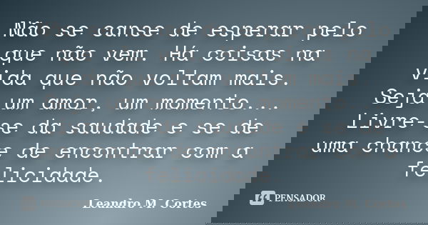Não se canse de esperar pelo que não vem. Há coisas na vida que não voltam mais. Seja um amor, um momento... Livre-se da saudade e se de uma chance de encontrar... Frase de Leandro M. Cortes.