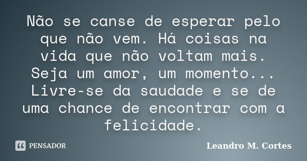 Não se canse de esperar pelo que não vem. Há coisas na vida que não voltam mais. Seja um amor, um momento... Livre-se da saudade e se de uma chance de encontrar... Frase de Leandro M. Cortes.