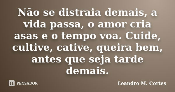 Não se distraia demais, a vida passa, o amor cria asas e o tempo voa. Cuide, cultive, cative, queira bem, antes que seja tarde demais.... Frase de Leandro M. Cortes.