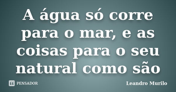 A água só corre para o mar, e as coisas para o seu natural como são... Frase de Leandro Murilo.