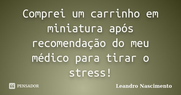 Comprei um carrinho em miniatura após recomendação do meu médico para tirar o stress!... Frase de Leandro Nascimento.