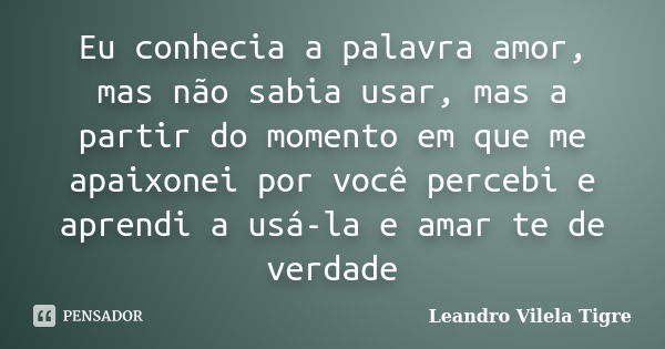 Eu conhecia a palavra amor, mas não sabia usar, mas a partir do momento em que me apaixonei por você percebi e aprendi a usá-la e amar te de verdade... Frase de Leandro Vilela Tigre.