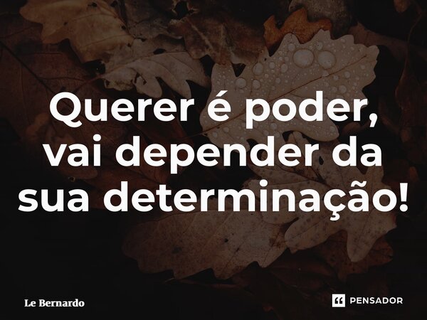 ⁠Querer é poder, vai depender da sua determinação!... Frase de Le Bernardo.