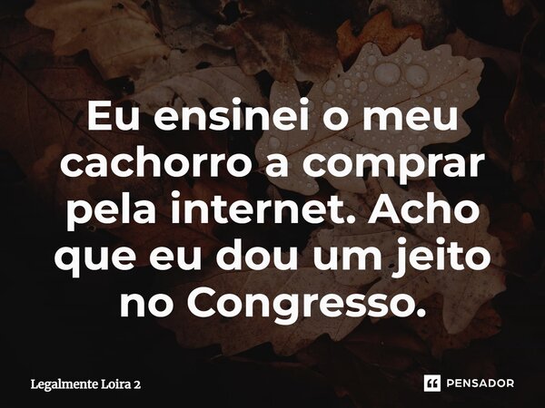 ⁠Eu ensinei o meu cachorro a comprar pela internet. Acho que eu dou um jeito no Congresso.... Frase de Legalmente Loira 2.