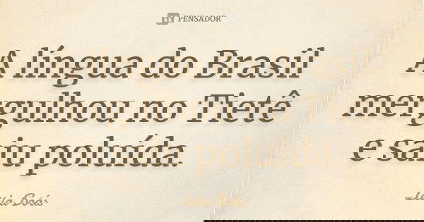 A língua do Brasil mergulhou no Tietê e saiu poluída.... Frase de Leila Boás.