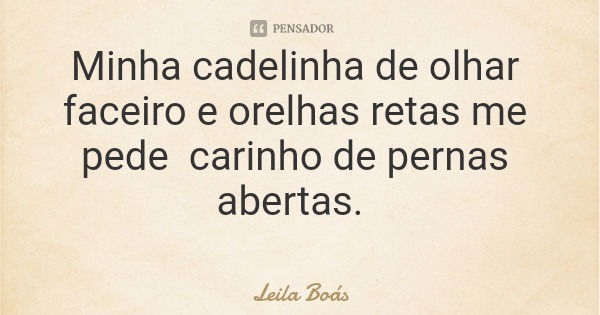 Minha cadelinha de olhar faceiro e orelhas retas me pede carinho de pernas abertas.... Frase de Leila Boás.