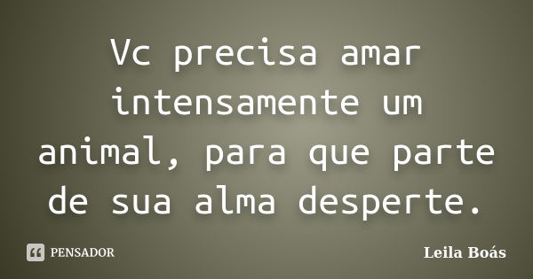 Vc precisa amar intensamente um animal, para que parte de sua alma desperte.... Frase de Leila Boás.