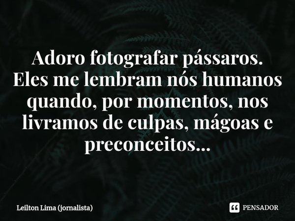 ⁠Adoro fotografar pássaros. Eles me lembram nós humanos quando, por momentos, nos livramos de culpas, mágoas e preconceitos...... Frase de Leilton Lima (jornalista).