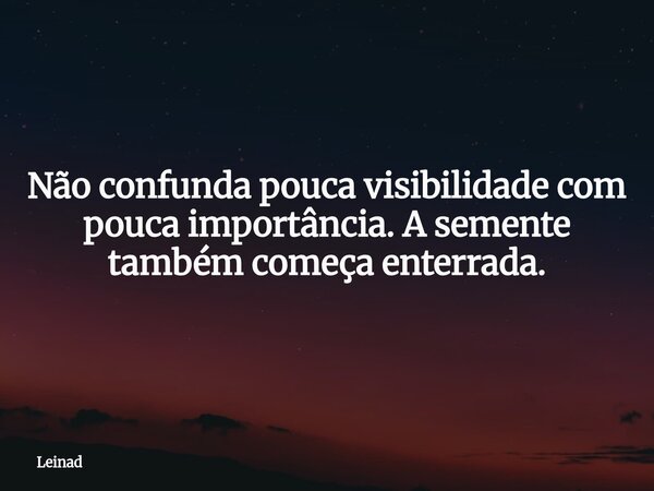 Não confunda pouca visibilidade com pouca importância. A semente também começa enterrada.... Frase de Leinad.